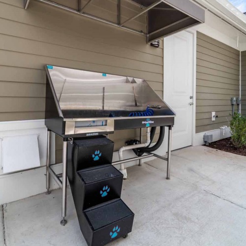 dog spa area outside