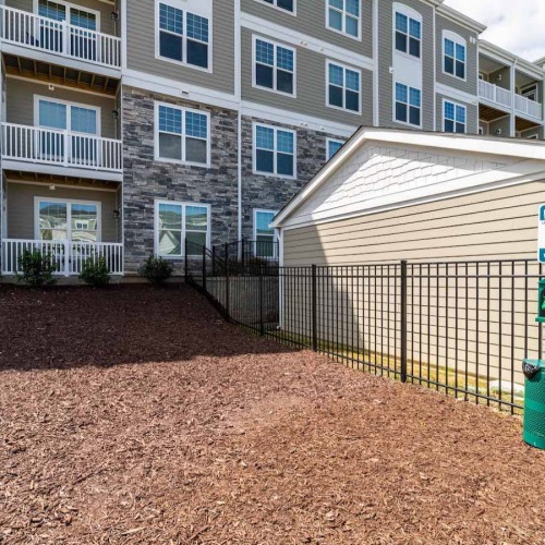 dog park with large open area for activity